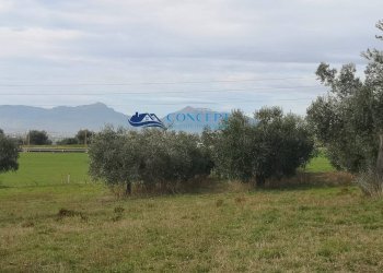 Terreno edificabile loc. Civita, Colonnella - foto 2