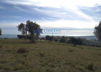 Terreno edificabile loc. Civita, Colonnella - foto 3