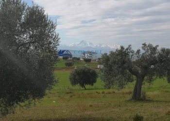 Terreno edificabile loc. Civita, Colonnella - foto 7
