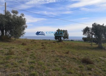 Terreno edificabile loc. Civita, Colonnella - foto 8