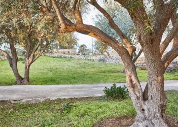 Holiday home via La Masa, Scicli - photo 7