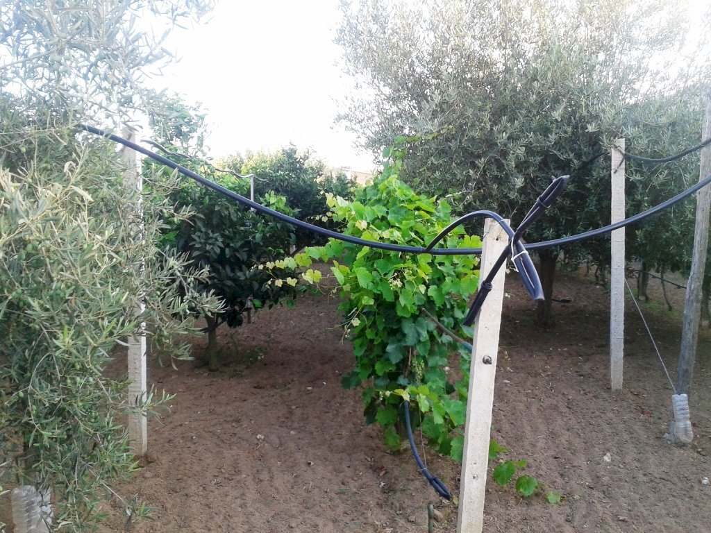 Agricultural land contrada Ferro di Cavallo, Scicli - photo 2