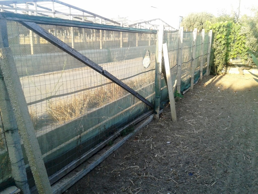 Agricultural land contrada Ferro di Cavallo, Scicli - photo 3