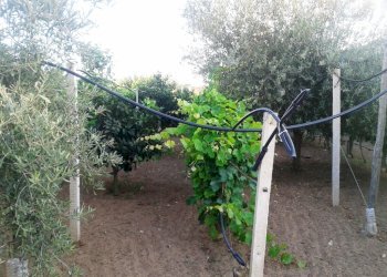 Agricultural land contrada Ferro di Cavallo, Scicli - photo 2