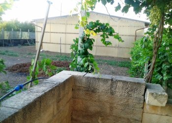 Agricultural land contrada Ferro di Cavallo, Scicli - photo 4