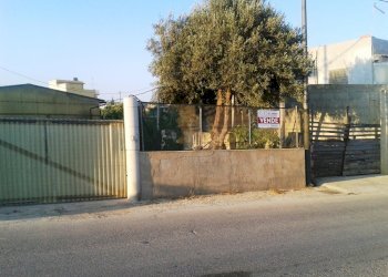 Agricultural land contrada Ferro di Cavallo, Scicli - photo 7