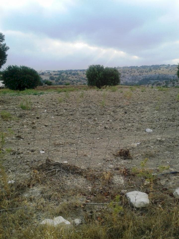 Rustico contrada Torrepalombo, Scicli - foto 3