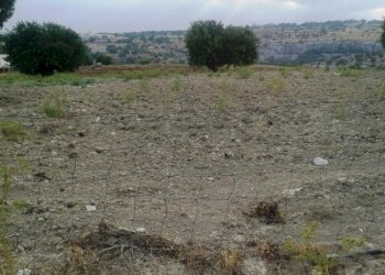 Rustic contrada Torrepalombo, Scicli - photo 3