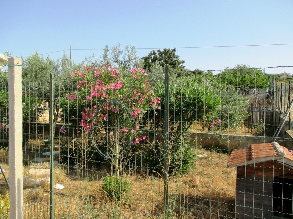 Agricultural land via Argolide, Scicli - photo 2