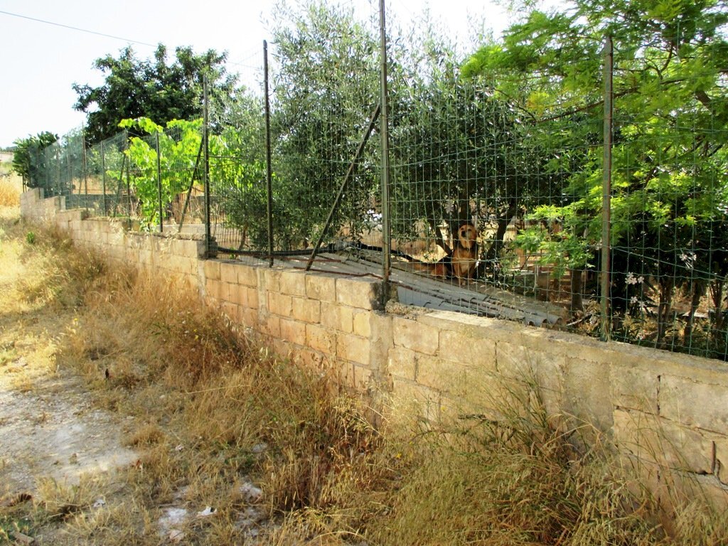 Agricultural land via Argolide, Scicli - photo 3