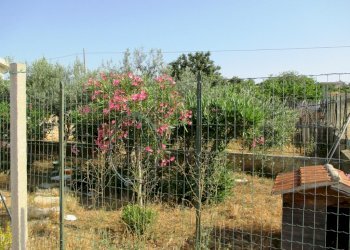 Agricultural land via Argolide, Scicli - photo 2