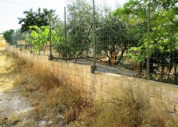 Agricultural land via Argolide, Scicli - photo 3