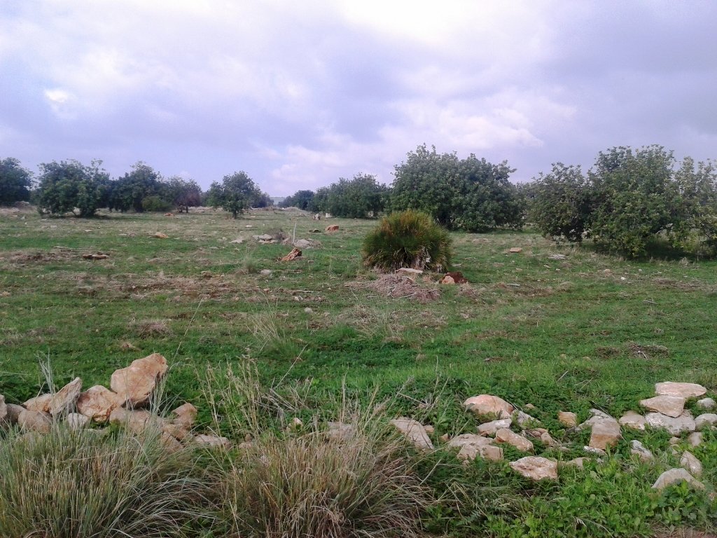 Agricultural land contrada Cudiano/Romito, Scicli - photo 3
