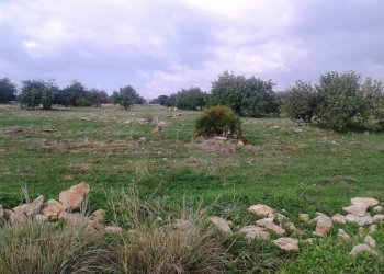 Agricultural land contrada Cudiano/Romito, Scicli - photo 3