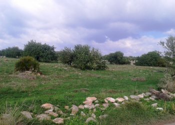 Agricultural land contrada Cudiano/Romito, Scicli - photo 4