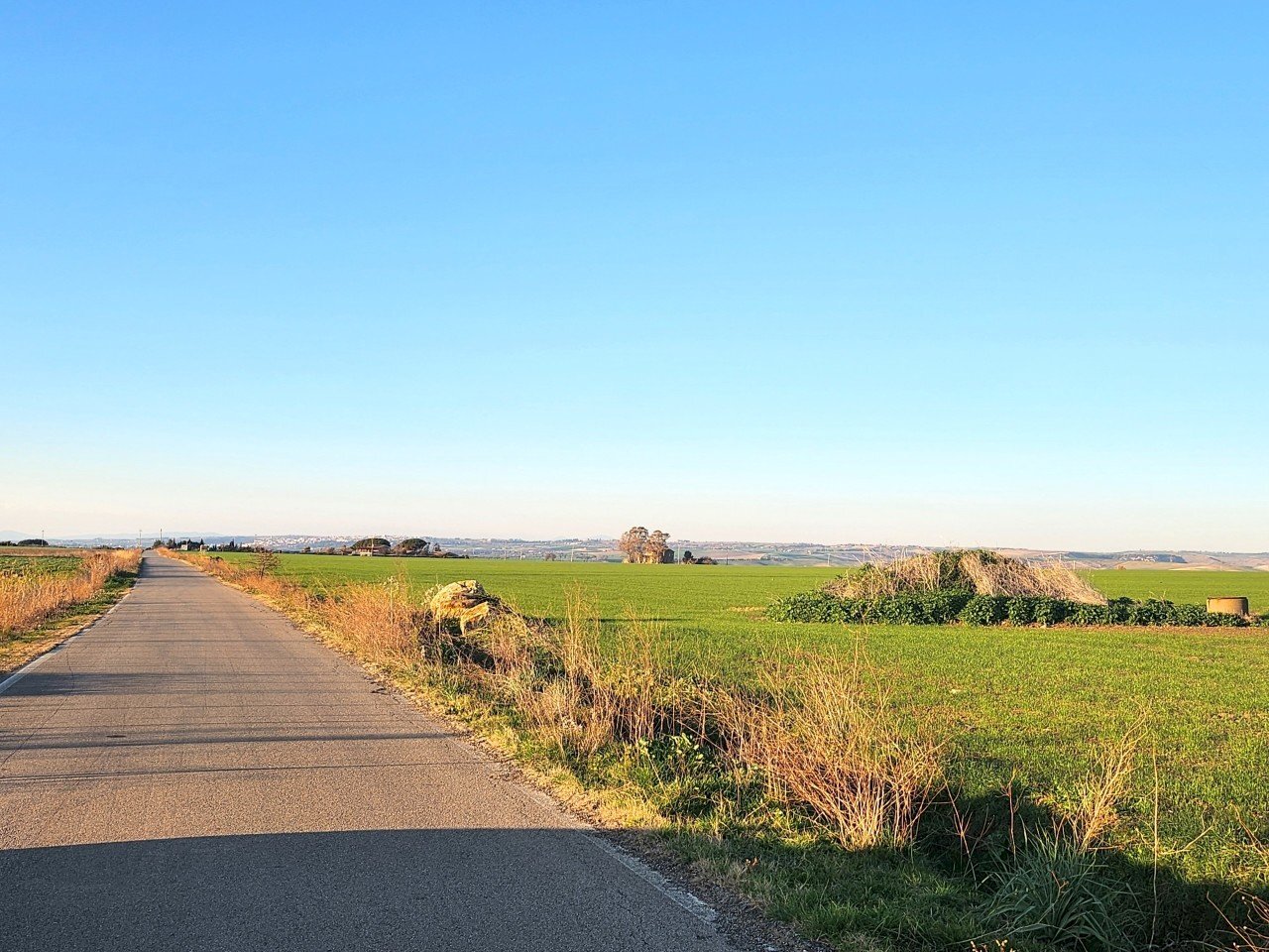 DILEOIMMOBILIARE VENDE TERRENO EDIFICABILE INDUSTR - Terreno edificabile Tarquinia - foto 3