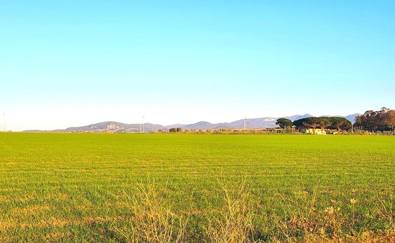 DILEOIMMOBILIARE VENDE TERRENO EDIFICABILE INDUSTR - Terreno edificabile Tarquinia - foto 1