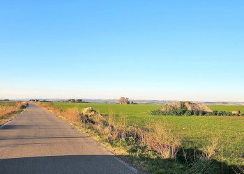 DILEOIMMOBILIARE VENDE TERRENO EDIFICABILE INDUSTR - Terreno edificabile Tarquinia - foto 3