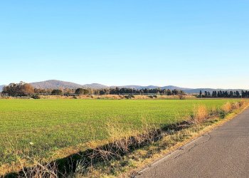 DILEOIMMOBILIARE VENDE TERRENO EDIFICABILE INDUSTR - Terreno edificabile Tarquinia - foto 4