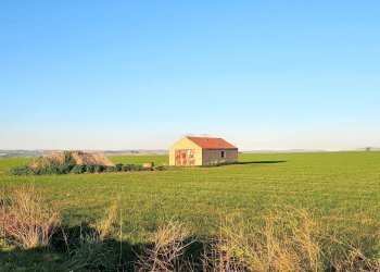 DILEOIMMOBILIARE VENDE TERRENO EDIFICABILE INDUSTR - Terreno edificabile Tarquinia - foto 5