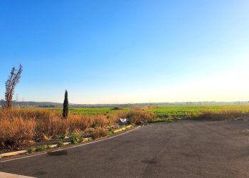 DILEOIMMOBILIARE VENDE TERRENO EDIFICABILE INDUSTR - Terreno edificabile Tarquinia - foto 8