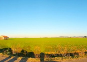 DILEOIMMOBILIARE VENDE TERRENO EDIFICABILE INDUSTR - Terreno edificabile Tarquinia - foto 9