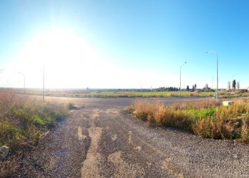 DILEOIMMOBILIARE VENDE TERRENO EDIFICABILE INDUSTR - Terreno edificabile Tarquinia - foto 11