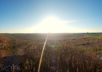 DILEOIMMOBILIARE VENDE TERRENO EDIFICABILE INDUSTR - Terreno edificabile Tarquinia - foto 12