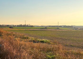 DILEOIMMOBILIARE VENDE TERRENO EDIFICABILE INDUSTR - Terreno edificabile Tarquinia - foto 13