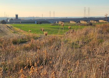 DILEOIMMOBILIARE VENDE TERRENO EDIFICABILE INDUSTR - Terreno edificabile Tarquinia - foto 15