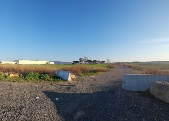 DILEOIMMOBILIARE VENDE TERRENO EDIFICABILE INDUSTR - Terreno edificabile Tarquinia - foto 21