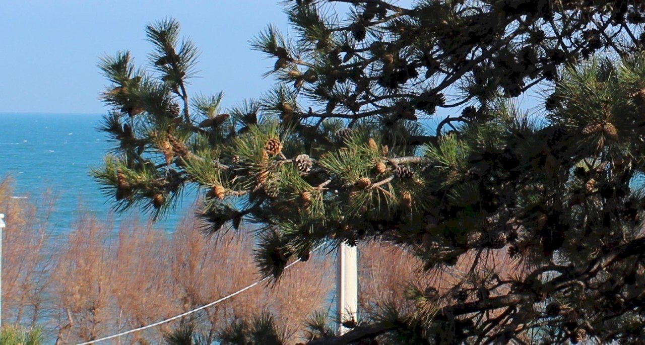 IMG_4459.JPG - Terreno edificabile Strada Statale 16 Adriatica 89, Fossacesia - foto 1