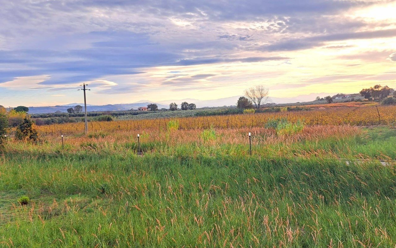 2b2de102-5184-46e8-a0a1-524588267c5f.jpg - Terreno edificabile Strada Statale 16 Adriatica 89, Fossacesia - foto 2