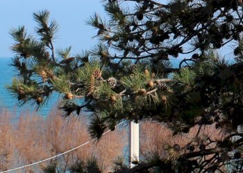 IMG_4459.JPG - Terreno edificabile Strada Statale 16 Adriatica 89, Fossacesia - foto 1