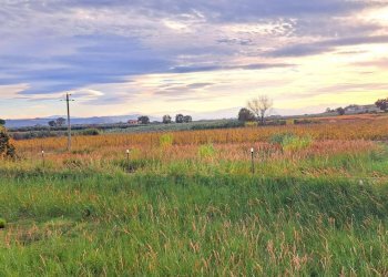 2b2de102-5184-46e8-a0a1-524588267c5f.jpg - Terreno edificabile Strada Statale 16 Adriatica 89, Fossacesia - foto 2