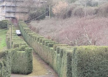 Importante villa storica  (3).jpeg - Villa via Colli  23, Pescaglia - foto 12