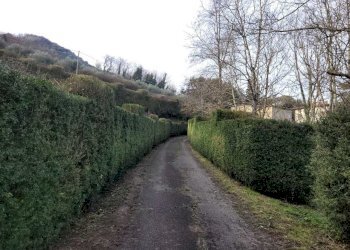 Importante villa storica  (7).jpeg - Villa via Colli  23, Pescaglia - foto 16