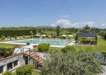 piscina vista da 301.jpg - Casale Via di Montecarlo 59, Lucca - foto 7