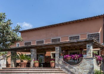 Azienda agrituristica a Montecarlo (9).jpg - Casale Via di Montecarlo 59, Lucca - foto 9