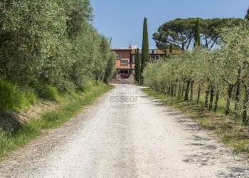 Azienda agrituristica a Montecarlo (12).jpg - Casale Via di Montecarlo 59, Lucca - foto 16