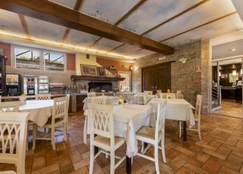 Azienda agrituristica a Montecarlo (12).jpg - Casale Via di Montecarlo 59, Lucca - foto 21