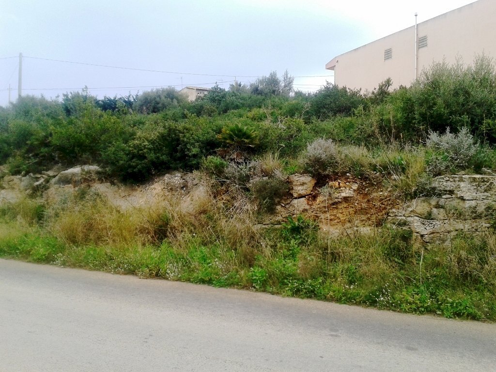 Terreno agricolo contrada Pagliarelli, Scicli - foto 3