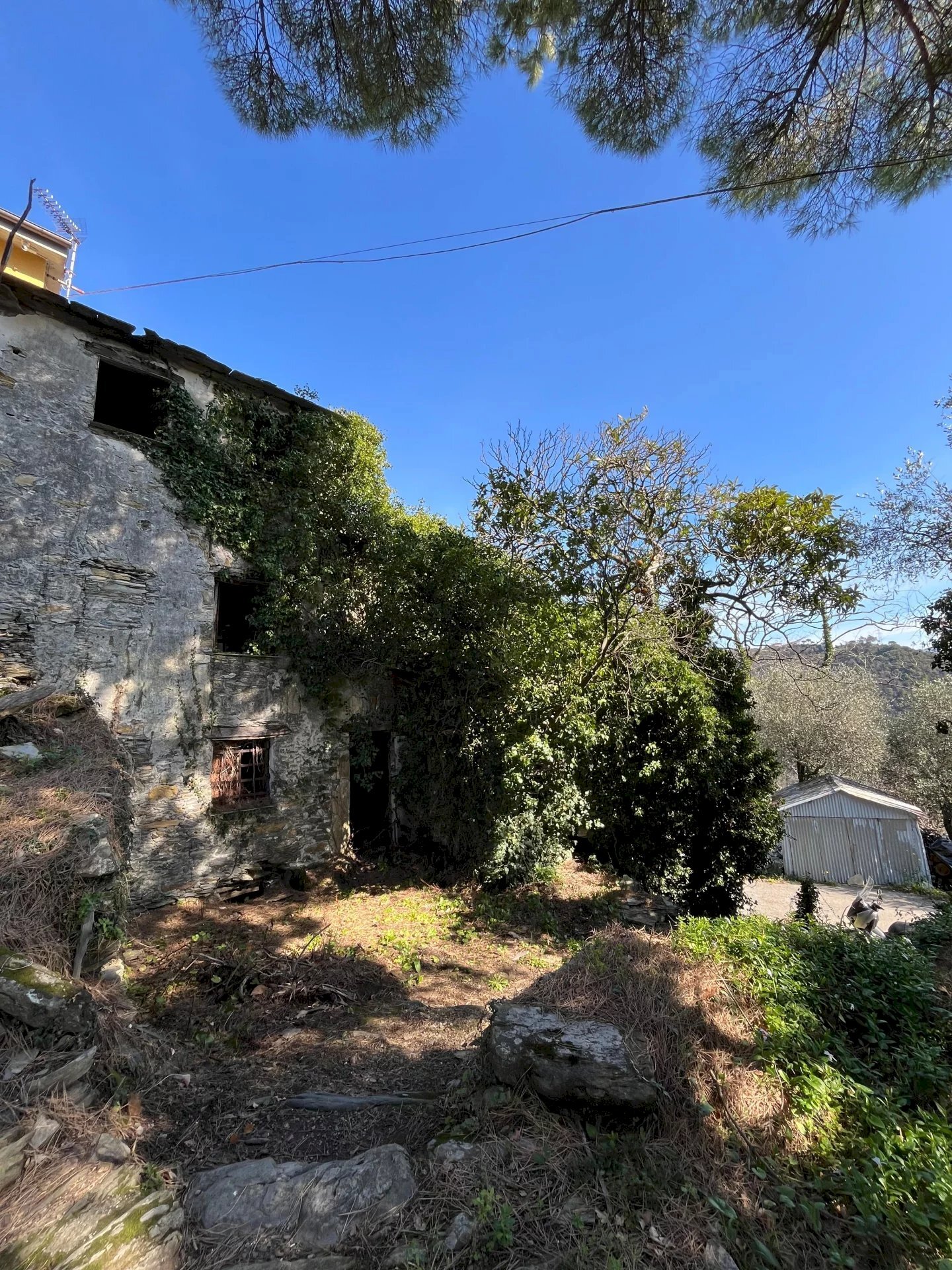 Facciata - Dimora Storica paggi, Carasco - foto 1