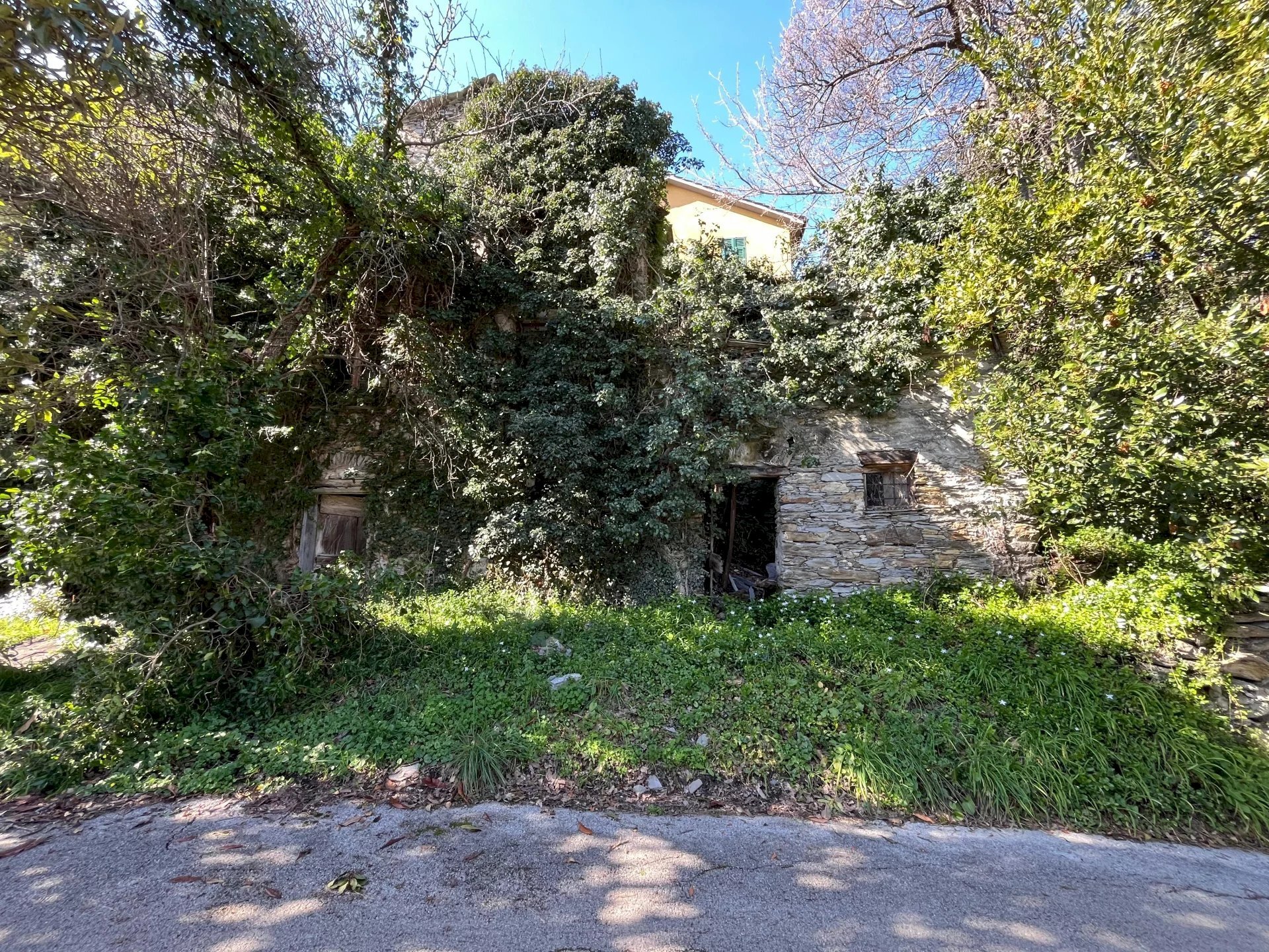 Facciata - Dimora Storica paggi, Carasco - foto 2