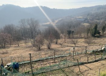 09.JPG - Rustico via francesco rossi, Cinzano - foto 9