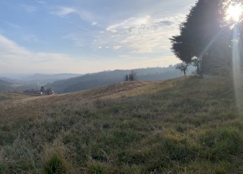 12.JPG - Rustico via francesco rossi, Cinzano - foto 12