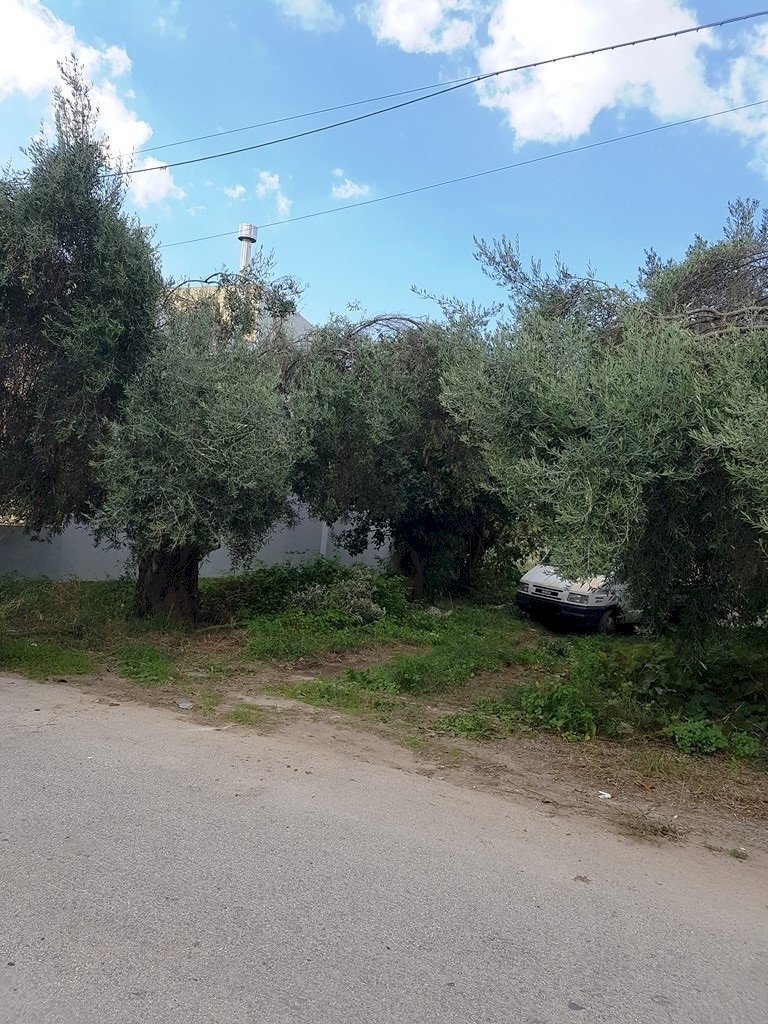 Agricultural land contrada Piano Conte, Scicli - photo 1