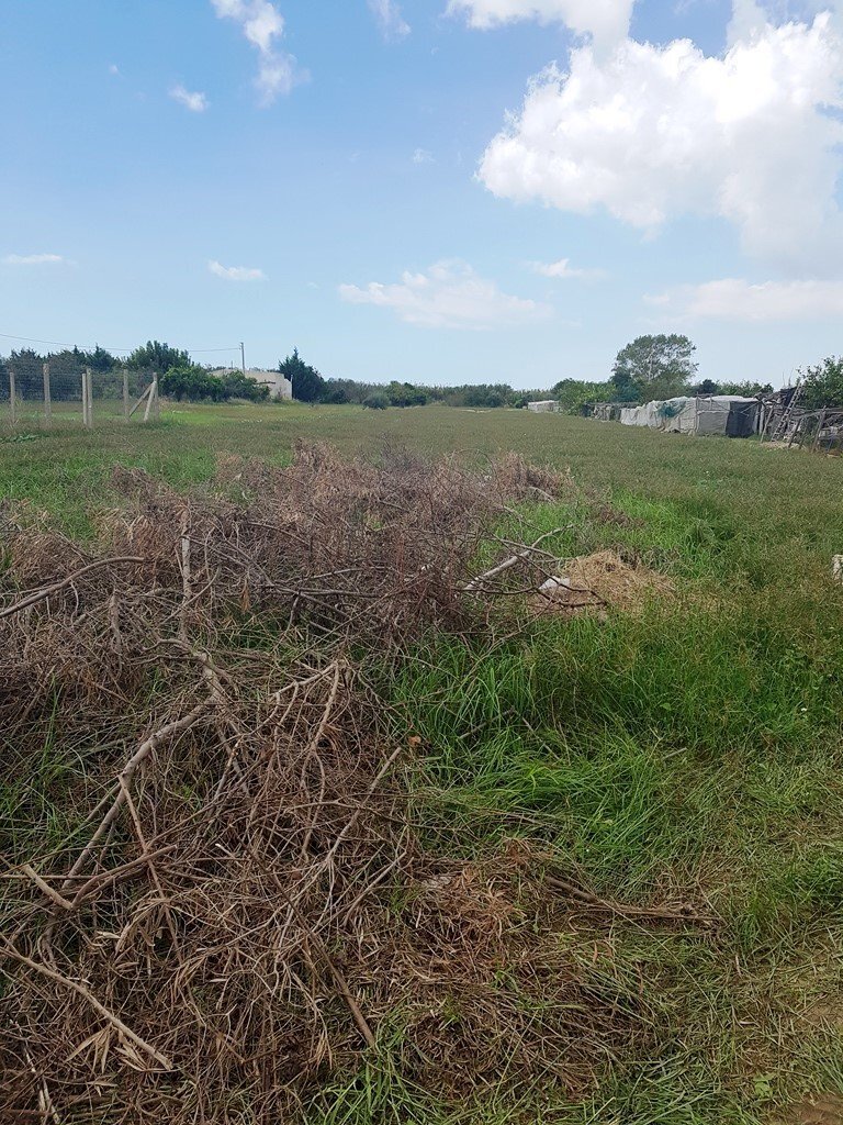 Agricultural land contrada Piano Conte, Scicli - photo 2