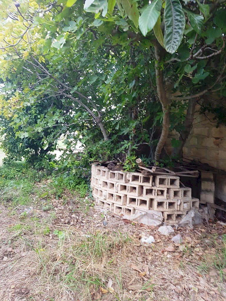 Agricultural land contrada Piano Conte, Scicli - photo 3