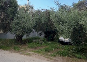 Agricultural land contrada Piano Conte, Scicli - photo 1